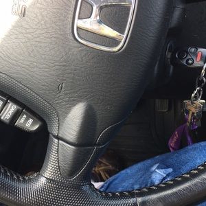 Meet your Posher, Alexandra